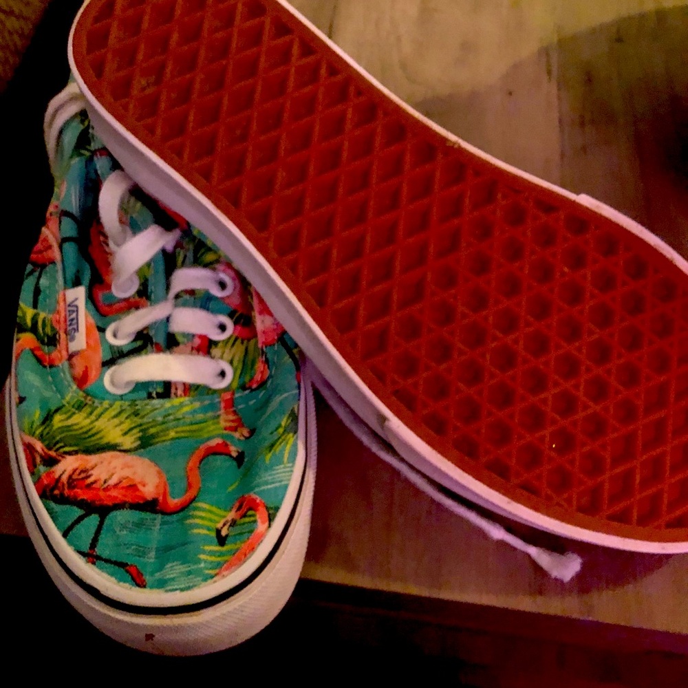 Flamingo vans